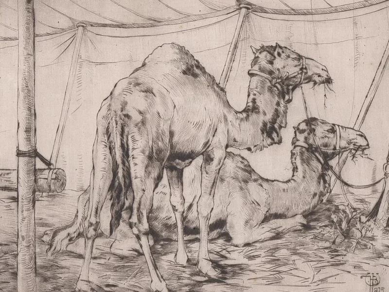 1880-Willem Hendrik Bik - Cammelli